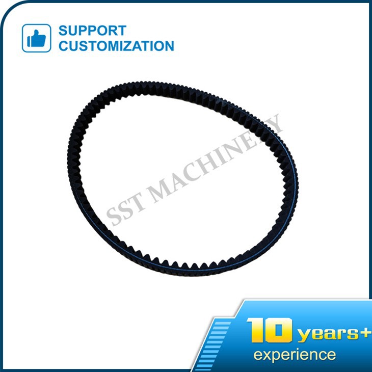 Động cơ vành đai Serpentine